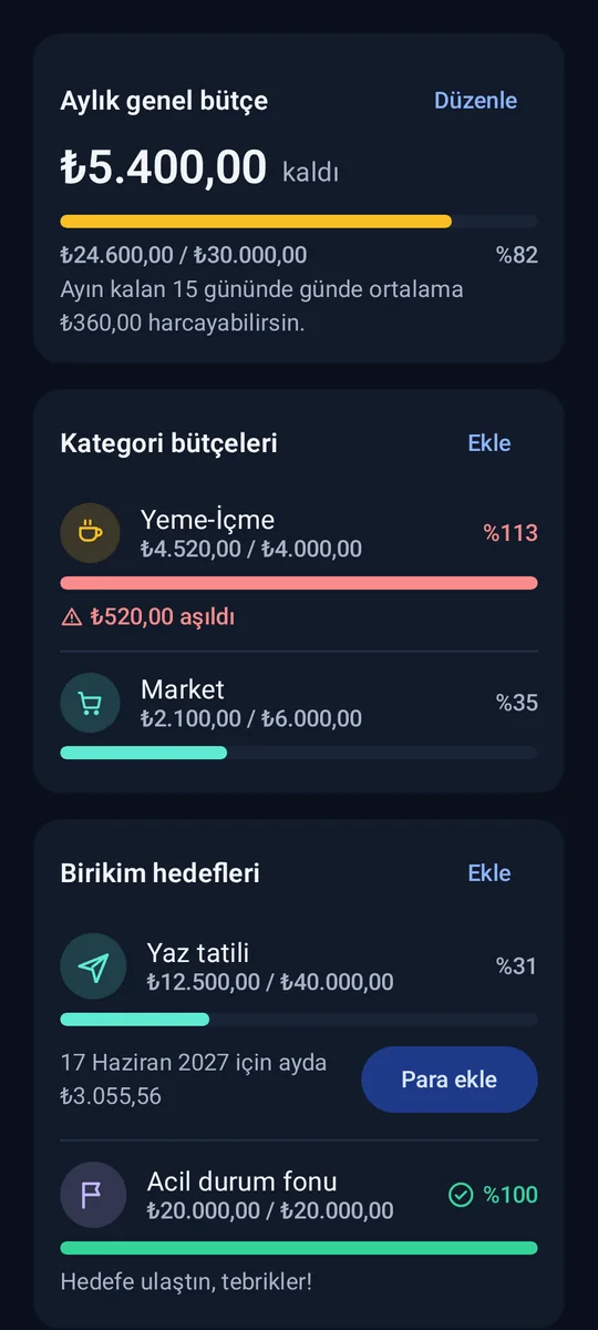 Koyu tema: Bütçe ve birikim hedefleri