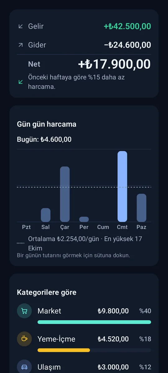 Koyu tema: Haftalık rapor ve gün gün harcama grafiği